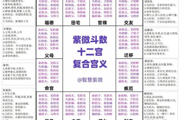 紫薇斗数大田宅 紫薇斗数大田宅