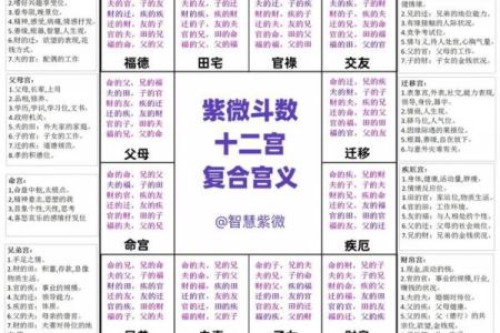 紫薇斗数大田宅