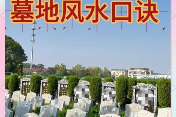 风水先生看坟地 风水先生看坟地