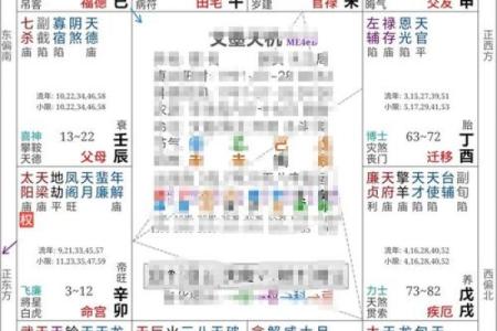 紫微斗数案例48财官：能力强、欲望大的人，愿你的命盘不是这样