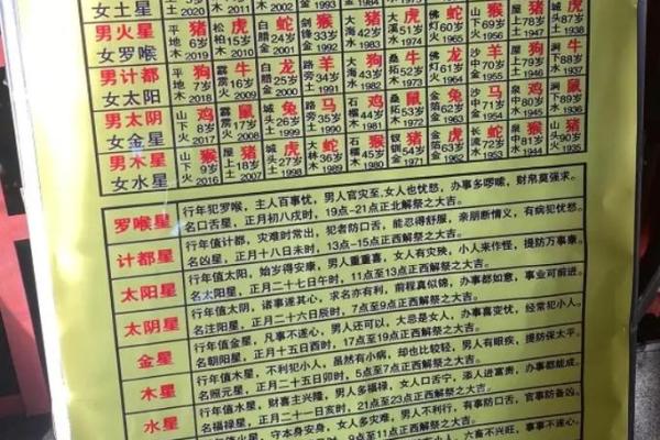 九星命理算命视频 九星命理算命视频