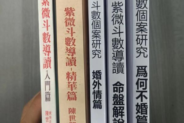 文教法律紫薇斗数 文教法律紫薇斗数