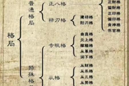 唐艺尹传统八字实例分析：身体健康长寿的命格，长寿八字信息