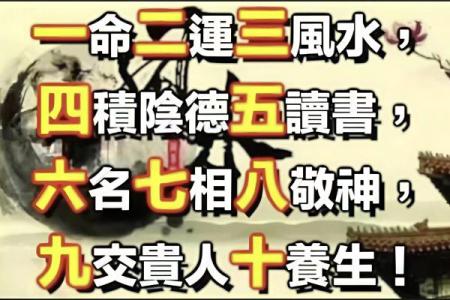 八字5两9特点介绍，八字5两9的含义及其解析