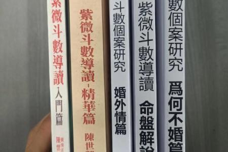 文教法律紫薇斗数