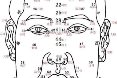 颧骨面相 颧骨面相算命图解