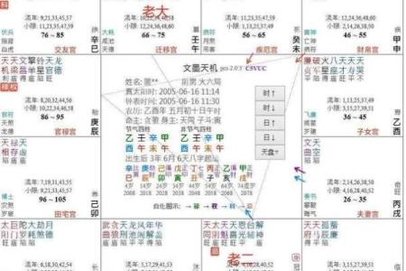 十二生肖紫薇斗数