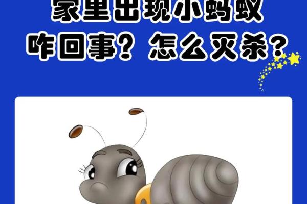 家里有蚂蚁风水上预示什么 家里有蚂蚁风水上预示什么
