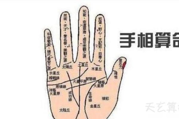 手相算命总论 手相算命大揭秘 手相算命总论 手相算命大揭秘
