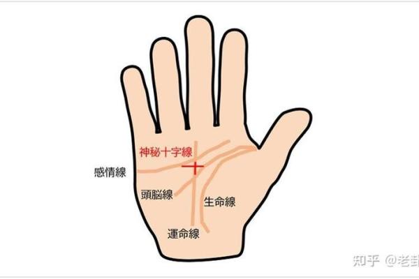 手相算命总论 手相算命大揭秘 手相算命总论 手相算命大揭秘