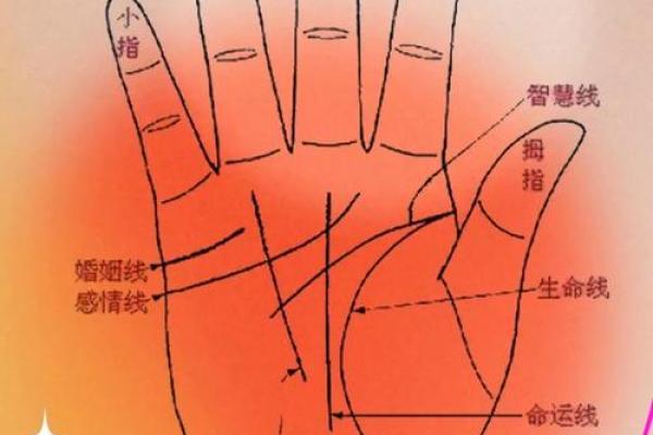 女性手纹算命图解