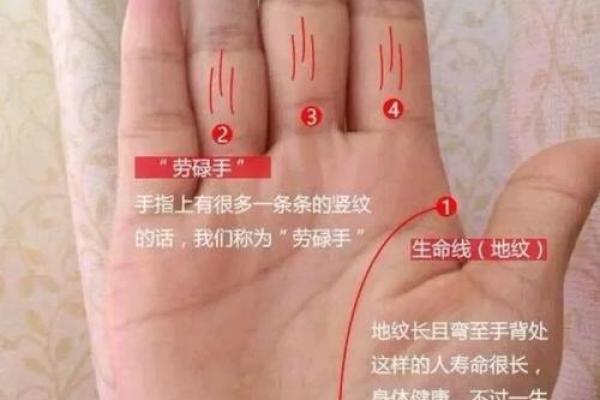 女性手纹算命图解