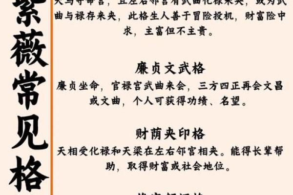 紫薇斗数格局很好 紫薇斗数格局很好