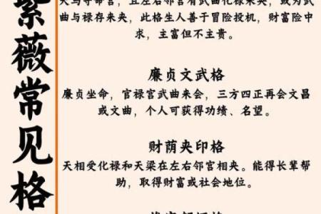 紫薇斗数格局很好