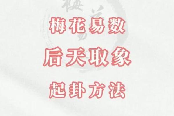 梅花易数怎么给人算命 梅花易数怎么给人算命