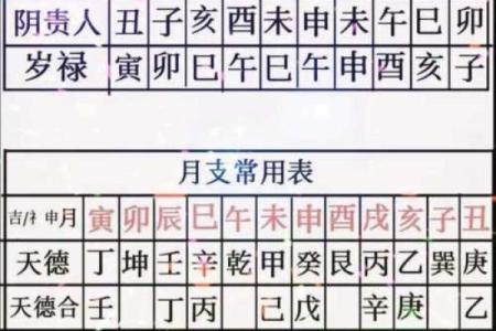 八字丁壬化