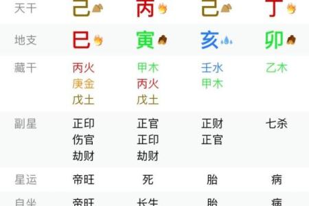 八字提要己
