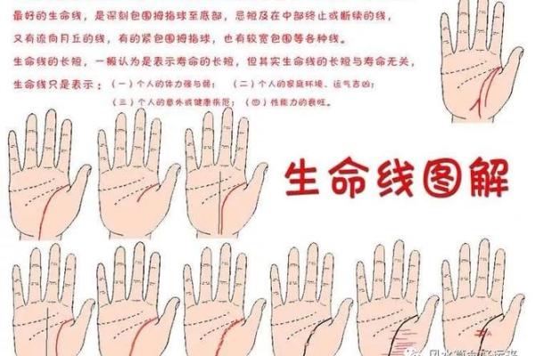 算命的人算自己寿命 算命的人算自己寿命