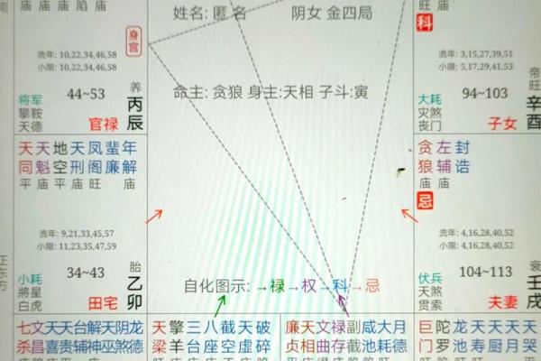 紫薇斗数紫府 紫薇斗数紫府