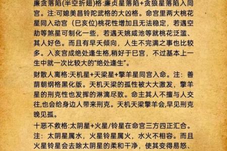 我是紫薇斗数