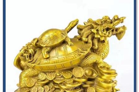 风水龙龟的摆放方法及禁忌用开光吗