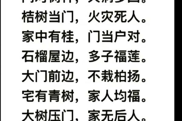 都市,那些被人忽视的人文风水 都市,那些被人忽视的人文风水