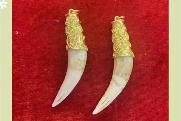 虎牙算命:面相虎牙分析 虎牙算命:面相虎牙分析