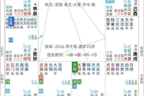 紫薇斗数全书架构