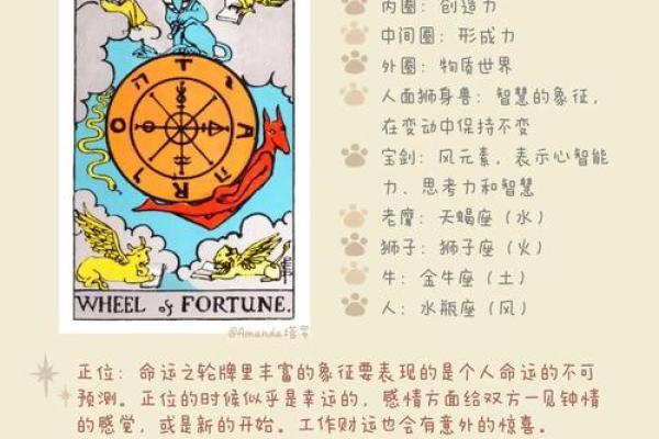 塔罗测试：十二月学习运？