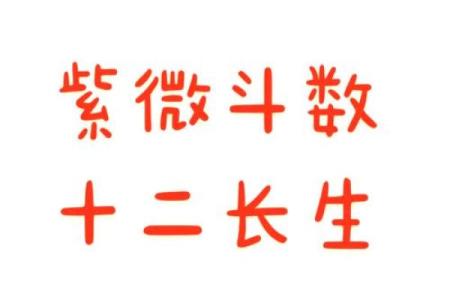 紫薇斗数精成十二