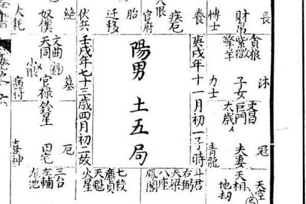 紫薇斗数古籍研究