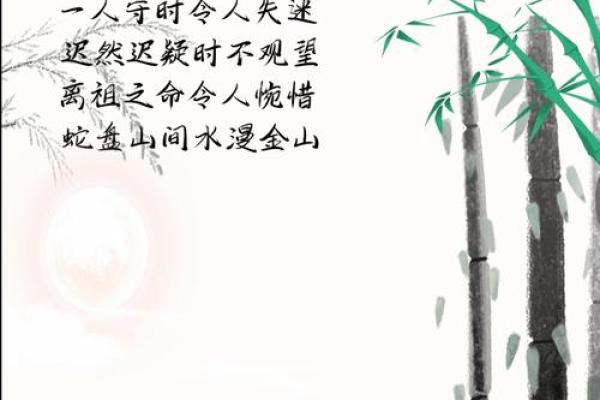 前有明堂,后有靠山!这样的风水宝地千金不换! 前有明堂,后有靠山!这样的风水宝地千金不换!