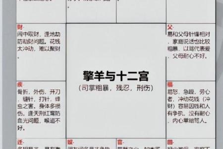 天府星在紫微斗数中的含义