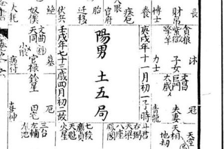紫薇斗数古籍研究