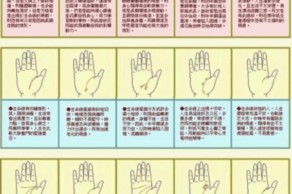 9宫格算命 9宫格算命