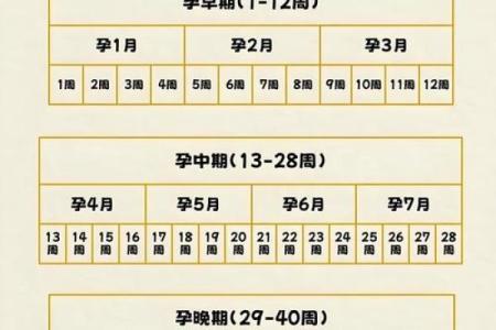 紫薇斗数怀孕生子年份