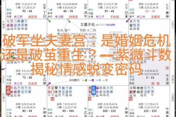 紫微斗数之交友宫与诸星，破军星在交友宫是什么意思？