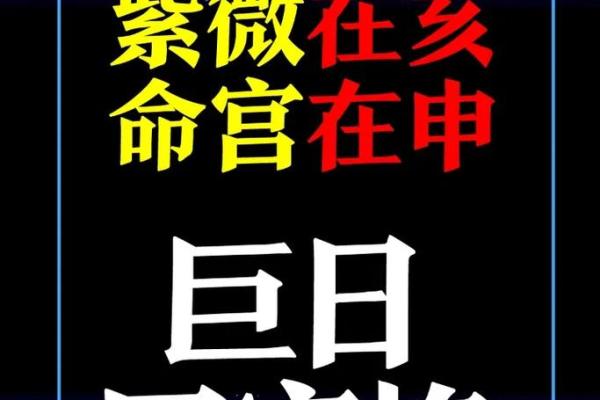 学会紫薇斗数后