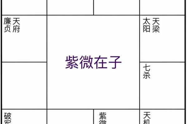 刘邦紫薇斗数命盘