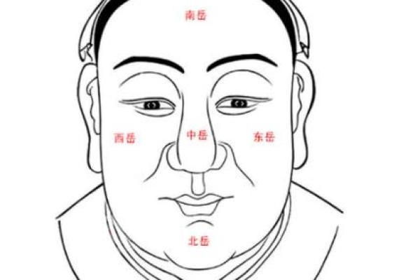 颧骨面相算命