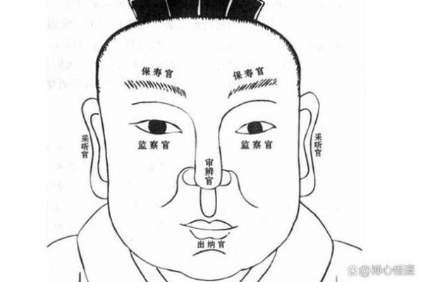 颧骨面相算命