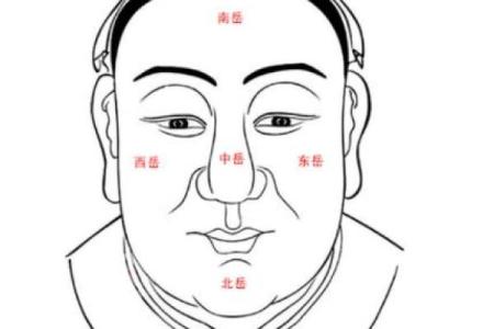 颧骨面相算命