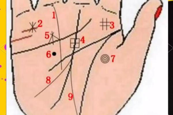 看手纹测命运图解 手相学图解算命大全
