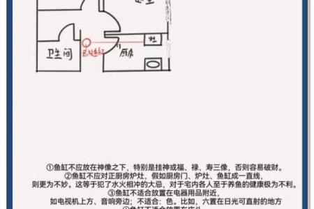 仓房养鱼风水好吗