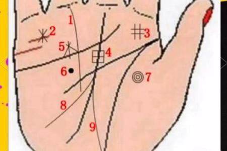 看手纹测命运图解 手相学图解算命大全