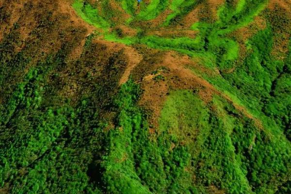 风水好的坟会有异象吗