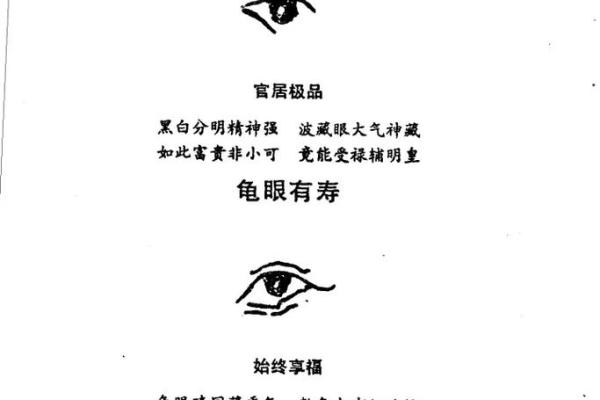 眼相算命图解大全