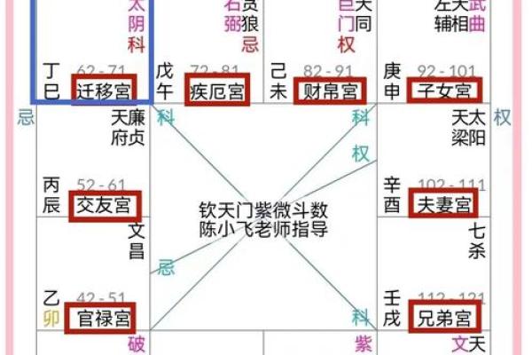 会紫薇斗数的人