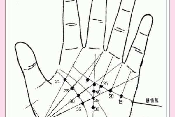 如何看手相算命看手相怎么看 如何看手相算命图片大全图解
