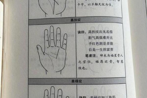 如何看手相算命看手相怎么看 如何看手相算命图片大全图解